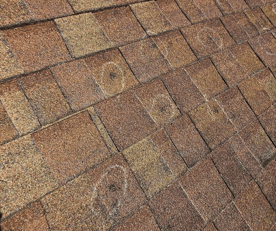 What Happens During a Professional Roof Inspection- Roof Top Innovations